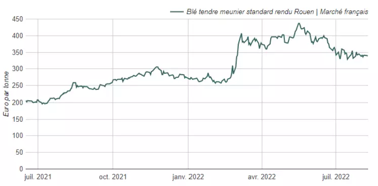Après avoir évolué entre 250 et 440 €/t depuis un an, le blé rendu Rouen s'est stabilisé depuis juillet entre 330 et 350 €/t.