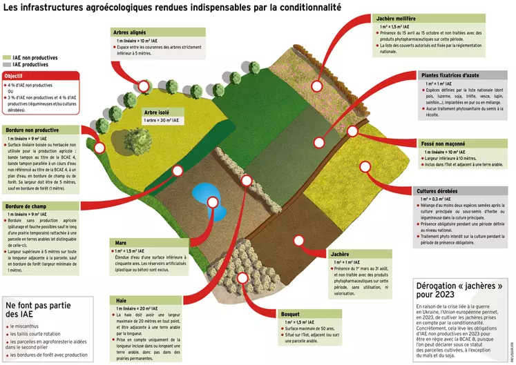 Le système des IAE diffère de celui des SIE de la PAC précédente, car certaines SIE ne sont plus retenues parmi les IAE. En revanche, les haies sont mieux valorisées qu'à l'époque des SIE.