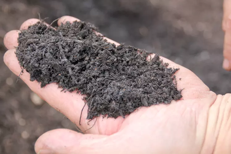 Le compost contient des éléments fertilisants pour lesquels il est important de connaître la disponibilité pour les cultures.