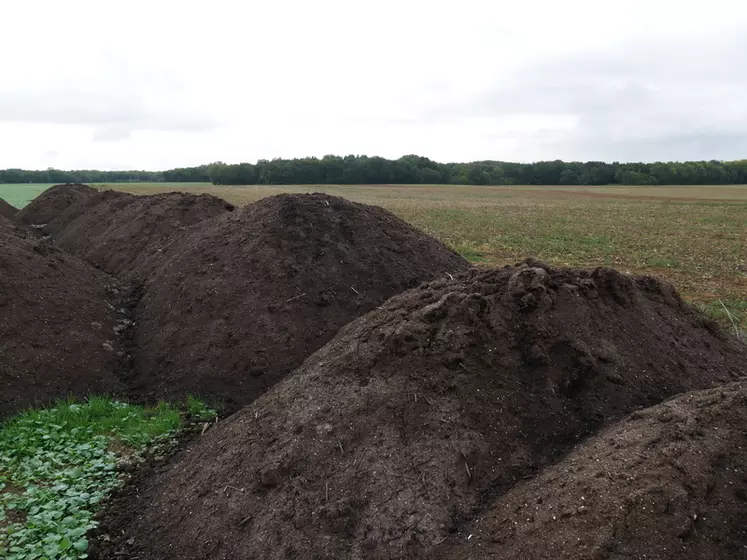 Les composts et les boues apportent une quantité importante de matière organique pour l'amendement du sol.