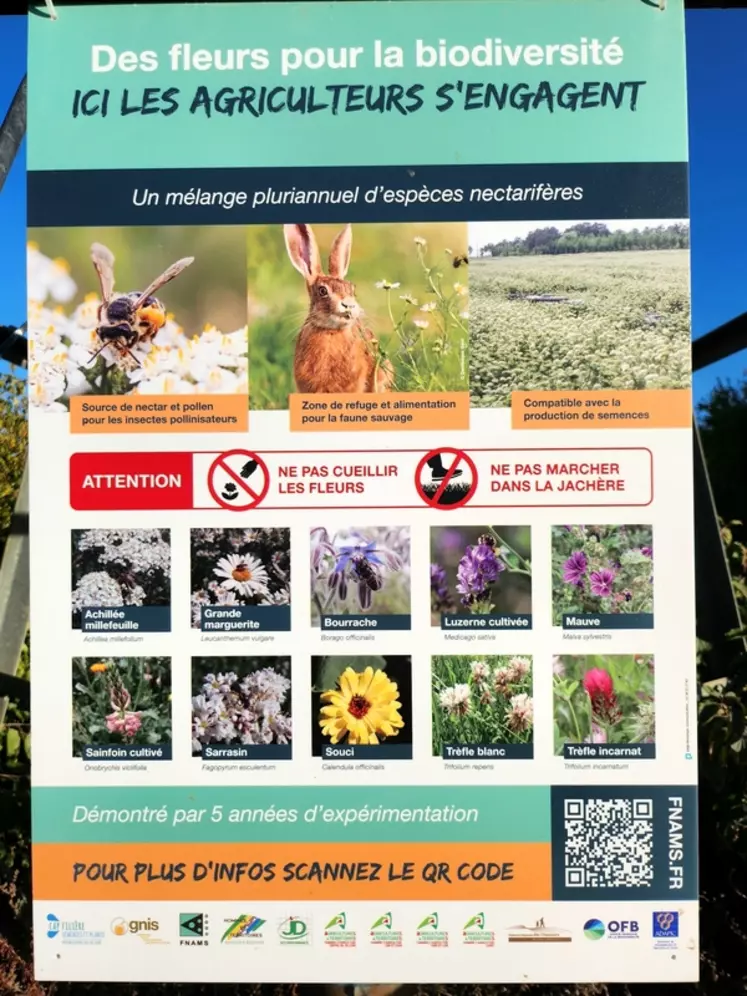 Un hectare de jachère mellifères comporte des espèces attractives des pollinisateurs sauvages tout en n'attirant pas trop les abeilles domestiques pour ne pas les détourner de leur rôle de pollinisateurs des porte-graines du secteur.