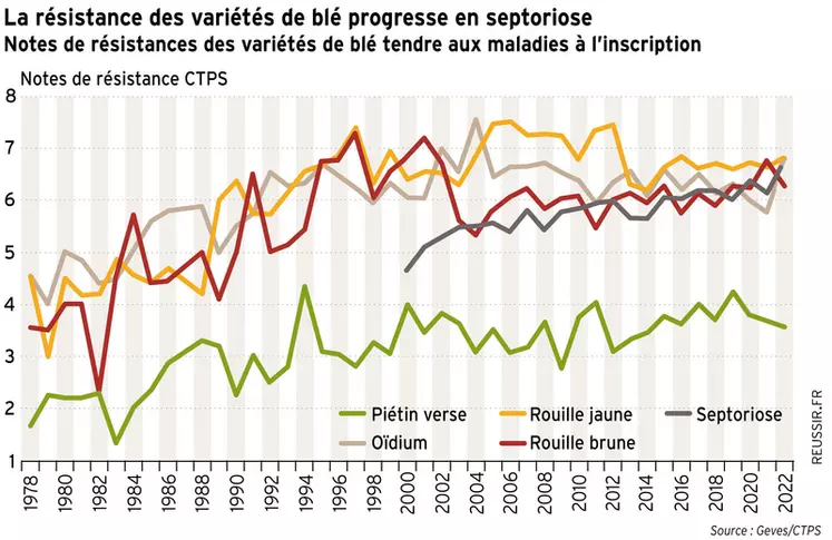 Blé : Prendre en compte le climat dans le développement des maladies