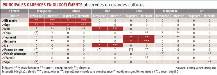 Fertilisation : les oligoéléments incontournables pour la santé des plantes