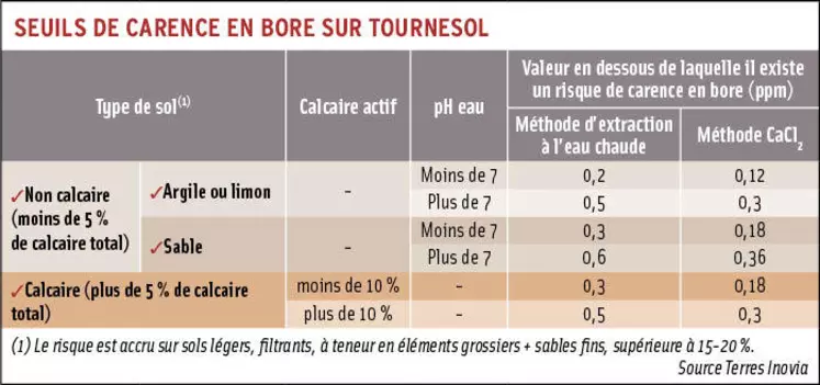 Fertilisation : le bore, essentiel pour plusieurs cultures, dont le tournesol et le colza