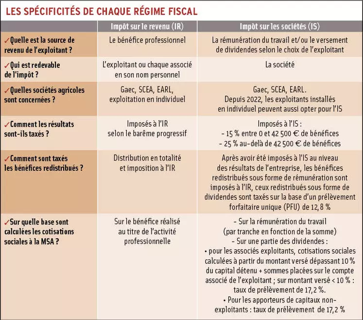 Impôt sur le revenu ou impôt sur les sociétés : choisir le régime fiscal adapté à sa société agricole