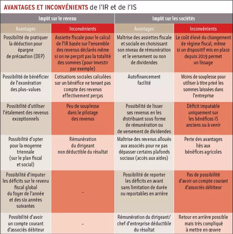 Impôt sur le revenu ou impôt sur les sociétés : choisir le régime fiscal adapté à sa société agricole