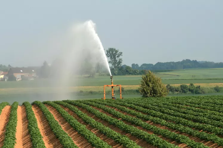 Les représentants des producteurs  estiment que "la culture de la pomme de terre ne pourra se faire sans une réelle gestion de l’eau dans les territoires".