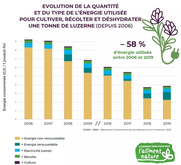 La quantité d'énergie consommée pour produire une tonne de luzerne déshydratée a fortement baissé depuis quinze ans. © Coopération agricole Luzerne ...