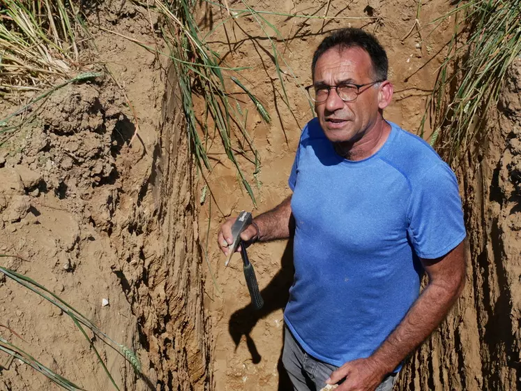Antonio Peirera, conseiller à la chambre d'agriculture de Haute-Marne et spécialiste de l'agriculture de conservation des sols étudie un profil de sol cultural