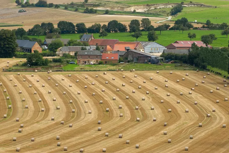récolte des céréales / paysage rural normand du pays de Bray après les moissons / bottes de paille / balles rondes / hameau /exploitations / foncier / territoire rural / ...