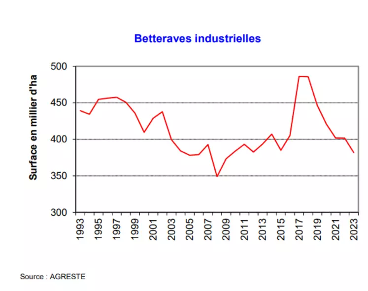 Graphique montrant l'évolution des surfaces semées en betteraves.