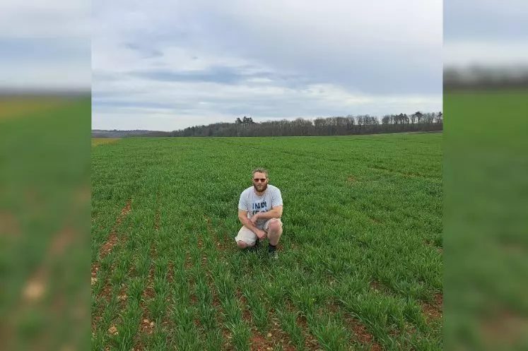 Romary Guilaume, polyculteur éleveur en Haute-Marne implante son blé en semis direct dans ses terres à faible potentiel.