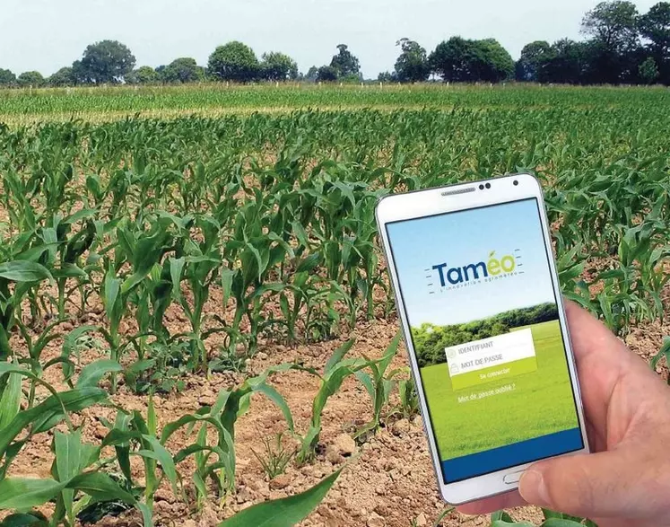 La station météo, un outil qui facilite le pilotage de la ferme