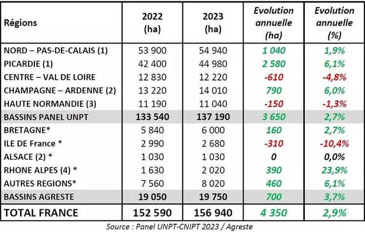 Surfaces pomme de terre France 2023