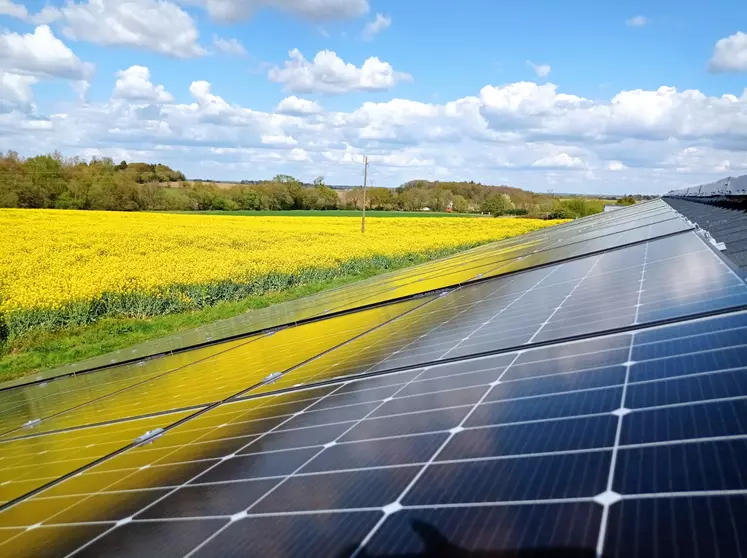 Panneaux photovoltaïques sur bâtiment agricole avec un champ de colza en arrière plan