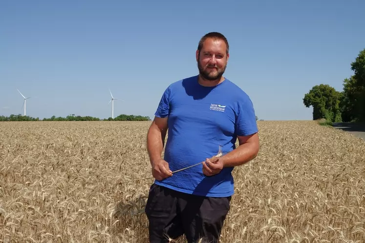 Thomas Poinot, 220 ha à Ferrières d’Aunis (Charente-Maritime) dans une parcelle de blé juillet 2023