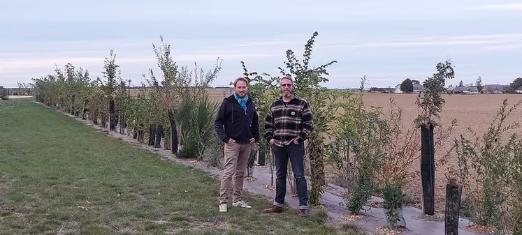 Antoine et Julien Cherrier, agriculteurs à Nourray (18),"La délimitation des parcelles était un des objectifs de la plantation de haies. Mais on y trouve un intérêt ...