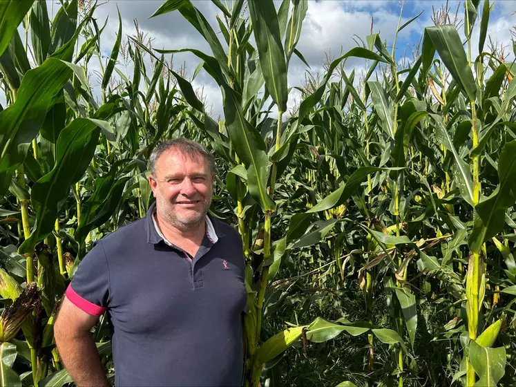 Dominique Defay, devant sa parcelle de maïs, 265 hectares à Tennie, en Sarthe, et Saint-Germain-d’Anxure, en Mayenne