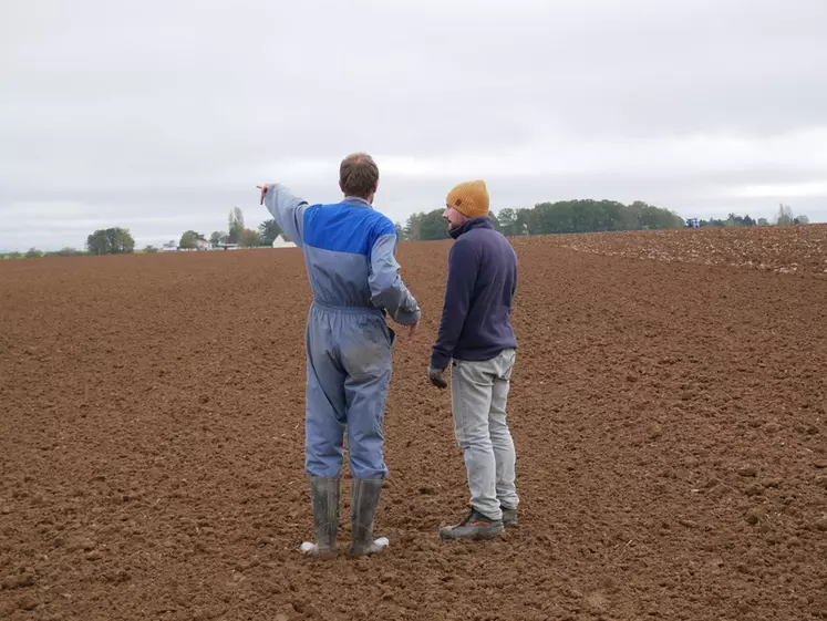Agriculteur et salarié agricole discutant dans un champ des travaux à effectuer, novembre 2023