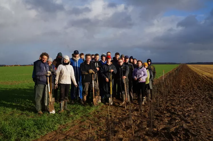 Avec l’aide d’une association, les planteurs volontaires, des haies ont été plantées et couvrent 8 kilomètres aujourd’hui sur l'exploitation de Bernard de Franssu.