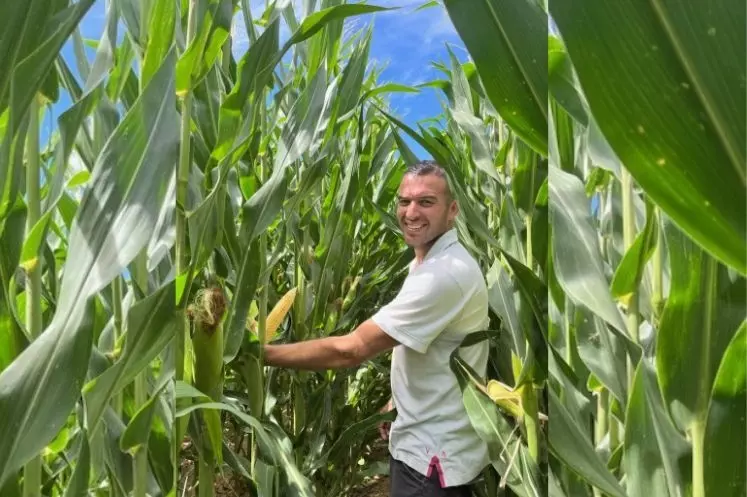 Damien Very, producteur dans le Loir-et-Cher à Savigny-sur-Braye dans son champ de maïs