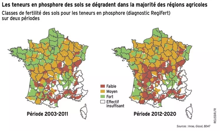 Fertilisation : Le phosphore fait défaut dans les sols cultivés en France