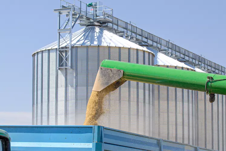 Céréales versées dans une benne avec des silos en arrière plan