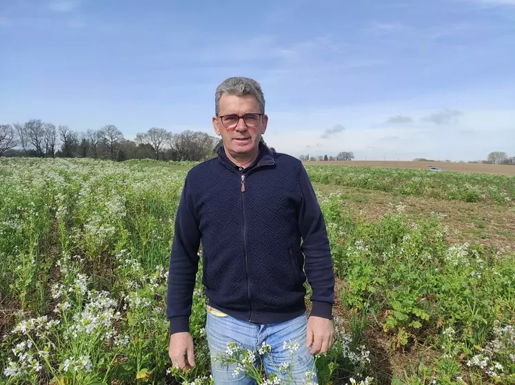 Philippe Dolo, responsable développement technique à Bretagne Plants,"Le semis de blé tendre entre les buttes de pomme de terre après défanage donne des résultats assez ...
