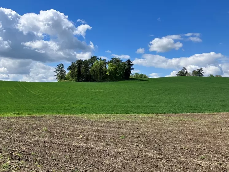 Parcelles avec des infrastructures agroécologiques dans le lointain