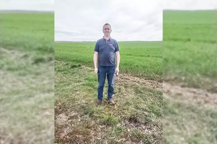 Sébastien Mahaut, agriculteur à Pauvres dans les Ardennes devant une parcelle de blé