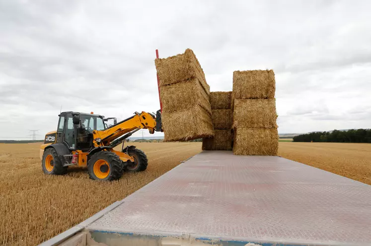 Chantier de paille pendant les moissons dans le departement de la Marne. Chargement et dechargement de ballots de paille de ble. Engin Massey Ferguson 2170. 