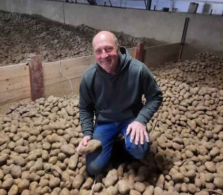 Éric Hemelsdael, SCEA Des écluses à Deûlémont (59)"Nous stockons 2000 tonnes de pommes de terre d’industrie pour McCain, livrées principalement en juin-juillet." 