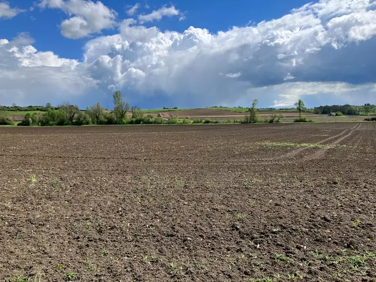 Parcelle laissé en sol nu 
