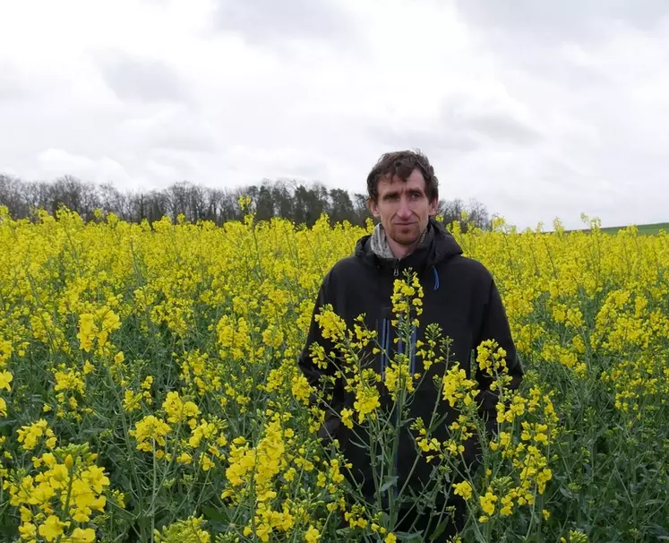 Julien Halska, Bio Bourgogne-Franche-Comté :« Pour obtenir des colzas robustes et à floraison pas trop précoces, afin d’éviter les coups de gel en ...