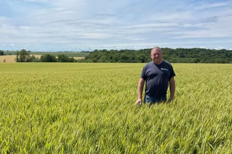 Jean Doyen agriculteur à Malavillers en Meurthe-et-Moselle dans sa parcelle de blé