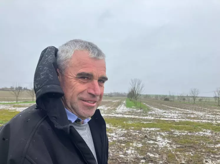 Régis Négrier, agriculteur en Charente-Maritime, dans une parcelle en agroforesterie. 