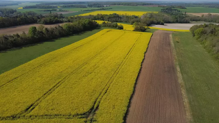 Vue aérienne de parcelles dans le sud de la Seine-et-Marne.