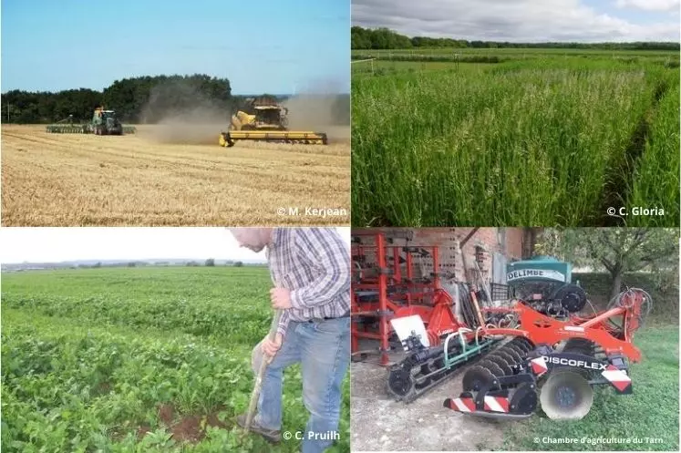 Images de semis de couverts derrière la moissonneuse batteuse, couverts végétaux, semoir à couverts