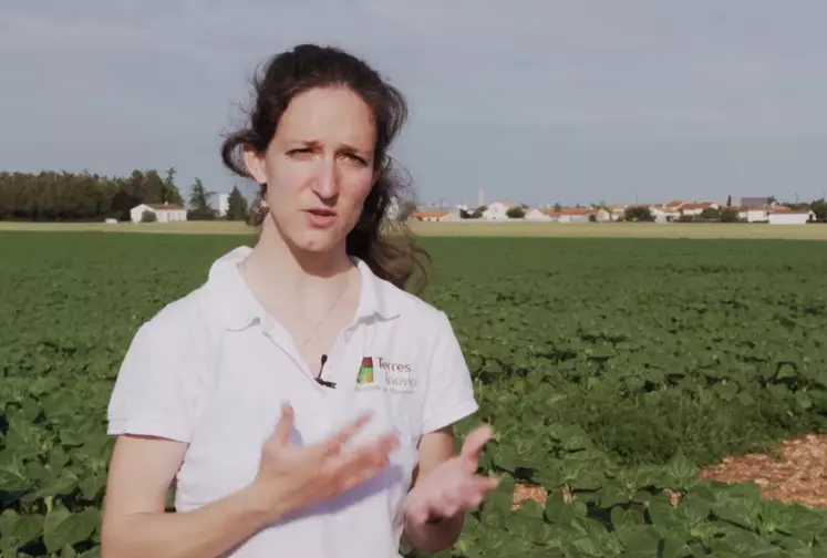Fanny Vuillemin, Terres Inovia :« En cas de parcelle infestée au moment de la récolte, il faut adapter les réglages de la moissonneuse-batteuse, pour éviter les ...