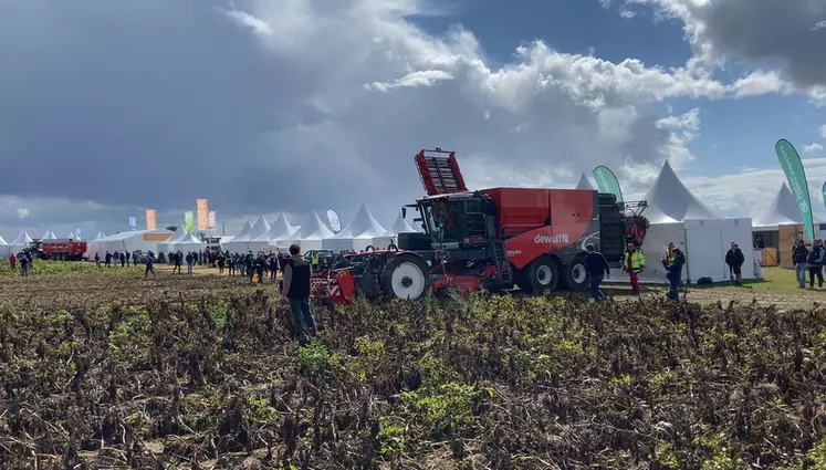 Arracheuse de pomme de terre au salon Potato Europe à Villers St Christophe