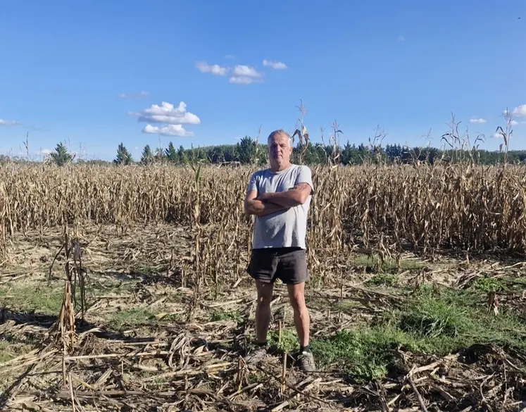 <em class="placeholder">Thierry Brizio, agriculteur à Castelsarrasin et Saint-Porquier (Tarn-et-Garonne)&quot;Les ronds de dégâts de sangliers amènent le développement de plantes indésirables comme ...</em>