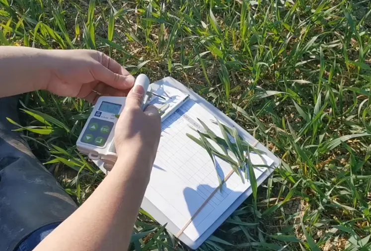 <em class="placeholder">Pince N-tester mesurant sur les feuilles les besoins du blé en azote.</em>
