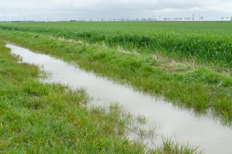 <em class="placeholder">Bord de champ inondé après un excès de pluie en bordure d&#039;un champ de céréales. Avril 2024 dans le nord de l&#039;Eure-et-Loir</em>
