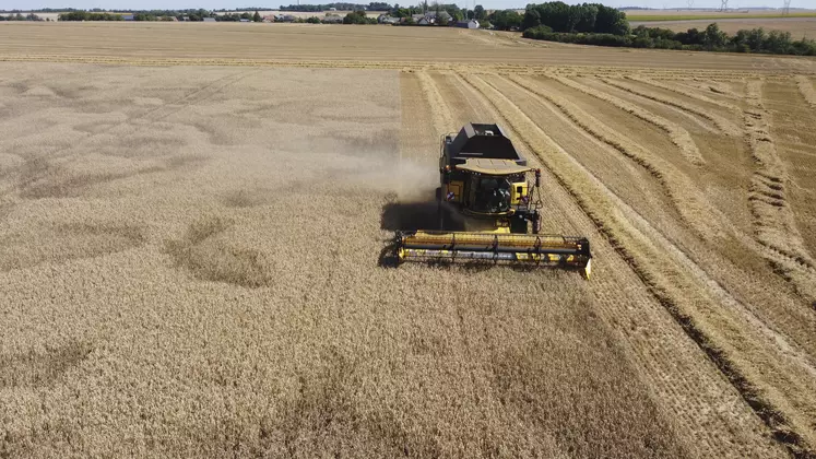 Moisson dans l' Indre près d' Issoudun le 7 juillet 2022. Récolte de blé tendre particulièrement précoce, avec du blé Cesario. Les taches sur la gauche sont des " chaufferettes" , zones de faible rendement liées aux conditions trop sèches et chaudes là où le sol est plus superficiel.