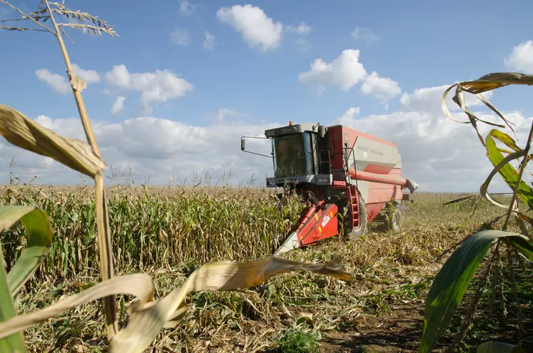 <em class="placeholder">Récolte d&#039;un champ de maïs grain avec une moissonneuse batteuse</em>