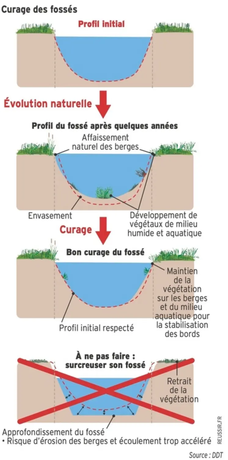 <em class="placeholder">Fossé : comment l&#039;entretenir dans les règles ?</em>