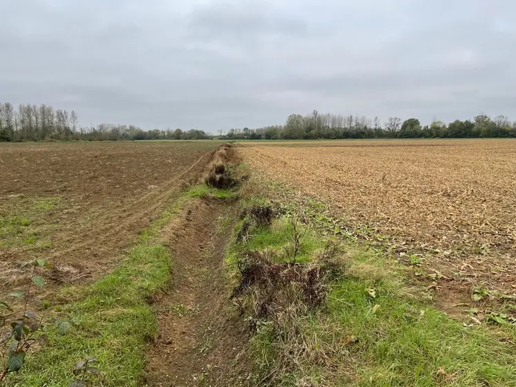 <em class="placeholder">Un fossé non entretenu ne joue pas son rôle d&#039;évacuation rapide de l&#039;eau quand une inondation survient.</em>