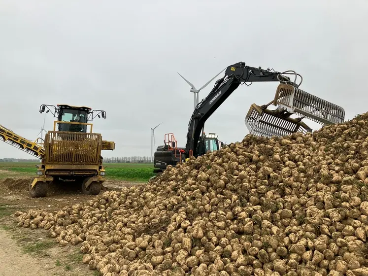 <em class="placeholder">Enlèvement d&#039;un silp de betterave par l&#039;industriel Saint Louis Sucre, département de la Somme, novembre 2024</em>