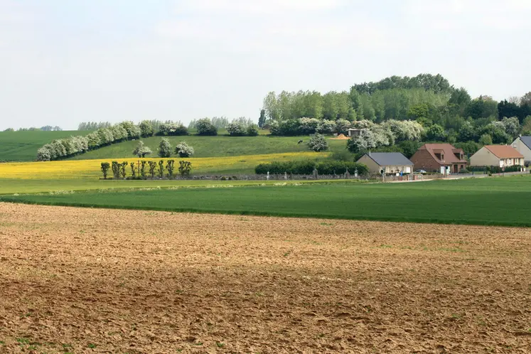 <em class="placeholder">Paysage rural de l&#039;Artois. Parcelles cultivées, haies d&#039;arbres. Maisons au bord des champs. habitat rural. habitations à proximité des parcelles agricoles. maison à ...</em>