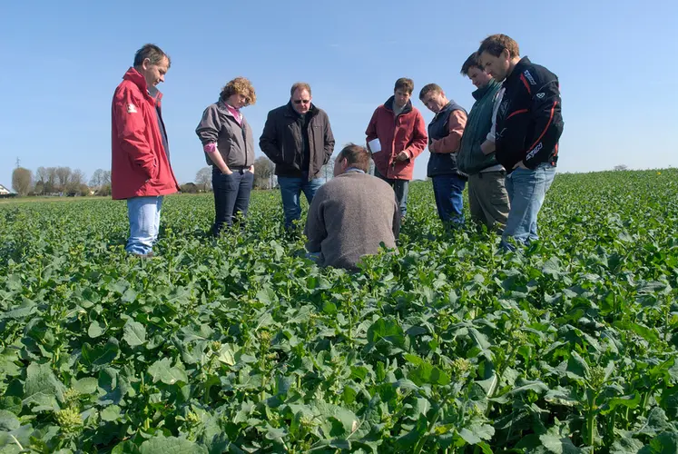 <em class="placeholder">Discussion technique entre un conseiller de chambre d&#039;agriculture et des agriculteurs dans un champ de colza. </em>